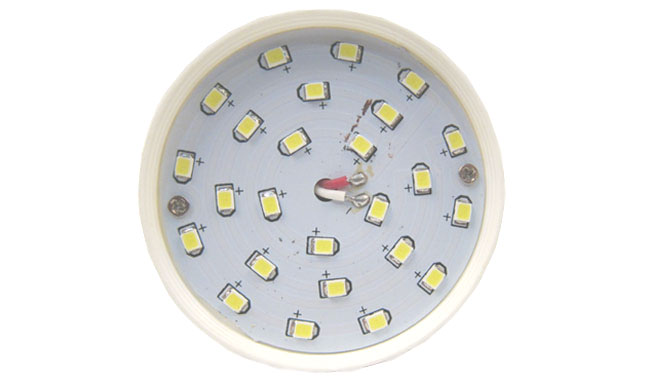 5630燈珠 5630燈珠