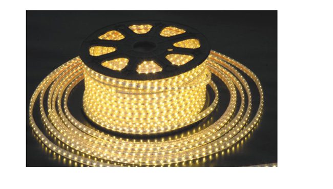 LED 高壓軟燈帶12W/米 LED 高壓軟燈帶12W/米