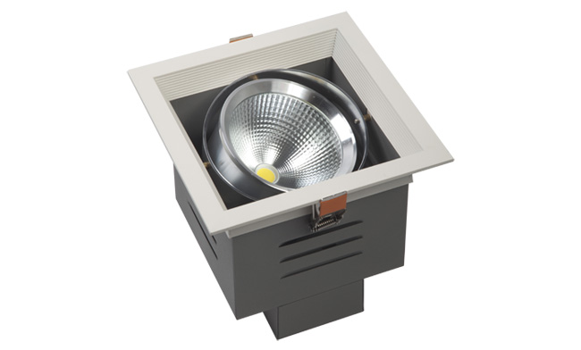 光源 LED豆膽燈光源