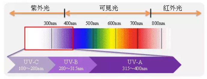 圖片6.png 圖片6.png
